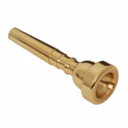 New-Paint-Gold-3C-Trumpet-Mouthpiece-Golden-for-Yamaha-or-Bach_nologo_600x600.jpg