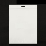 10.5 inch Zip Lock Anti-Static Bag, Size: 27 x 18cm  (100pcs in one package, the price is for 100pcs)