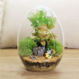 Egg Shaped DIY Moss Micro Landscape Glass Bottle Succulent Plants Vase Home Decoration