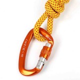 XINDA XD-Q9628 Professional Climbing D-shaped Master Lock Carabiner Safety Buckle Outdoor Climbing Equipment Supplies (Orange)
