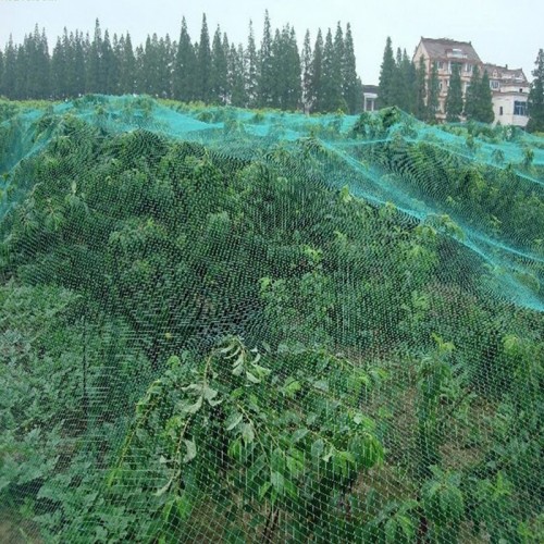 Gardening Anti Bird Net Protect Tree Net Fruit Crop Plants Pond Netting Mesh 2m x 10m