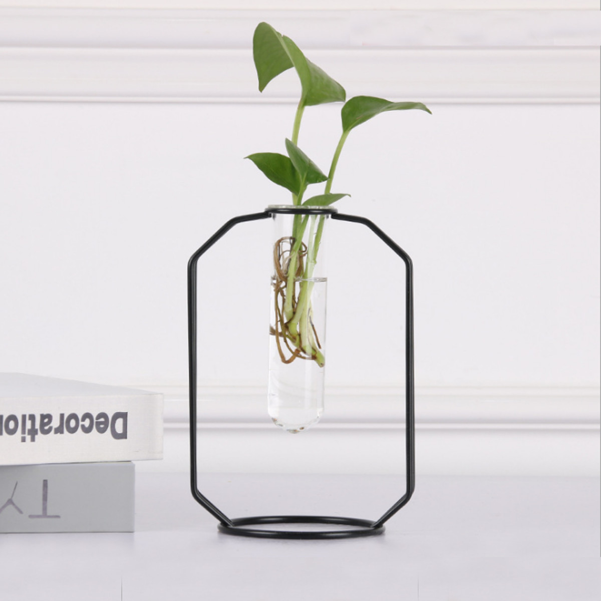 Glass Test Tubes Vase Flower Hydroponic Planter Stand Rack Decor with Iron Frame 