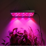 25W 75LEDs Full Spectrum Plant Lighting Fitolampy For Plants Flowers Seedling Cultivation Growing Lamps LED Grow Light AC85-265V EU