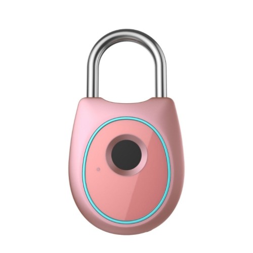 Portable Smart Fingerprint Lock Electric Biometric Door Lock USB Rechargeable IP65 Waterproof Home Door Luggage Case Lock Bluetooth Electronic Lock (Rose Gold)