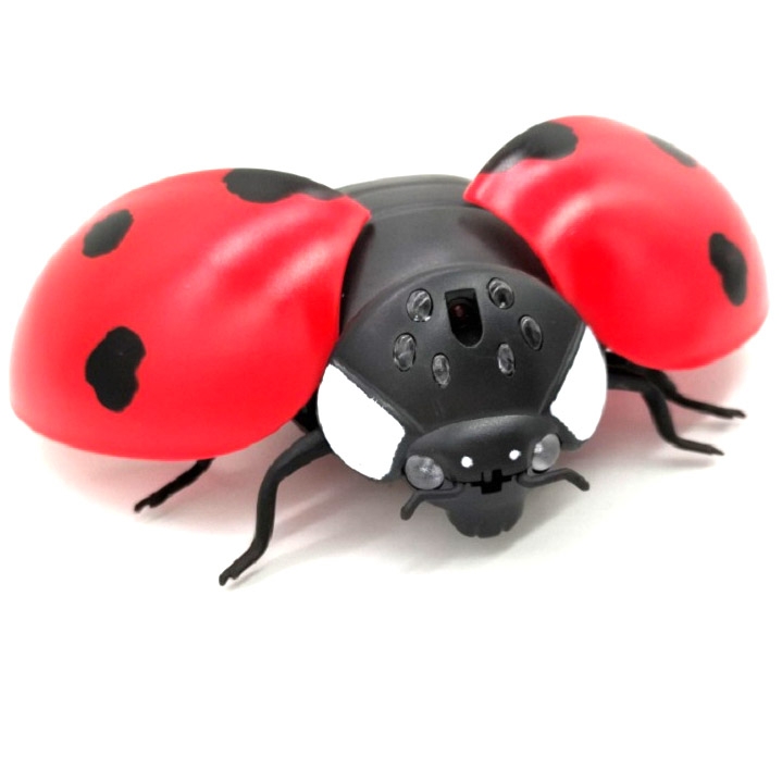 Infrared Sensor Remote Control Simulated Insect Tricky Creative Children Electric Toy Model (Ladybug)
