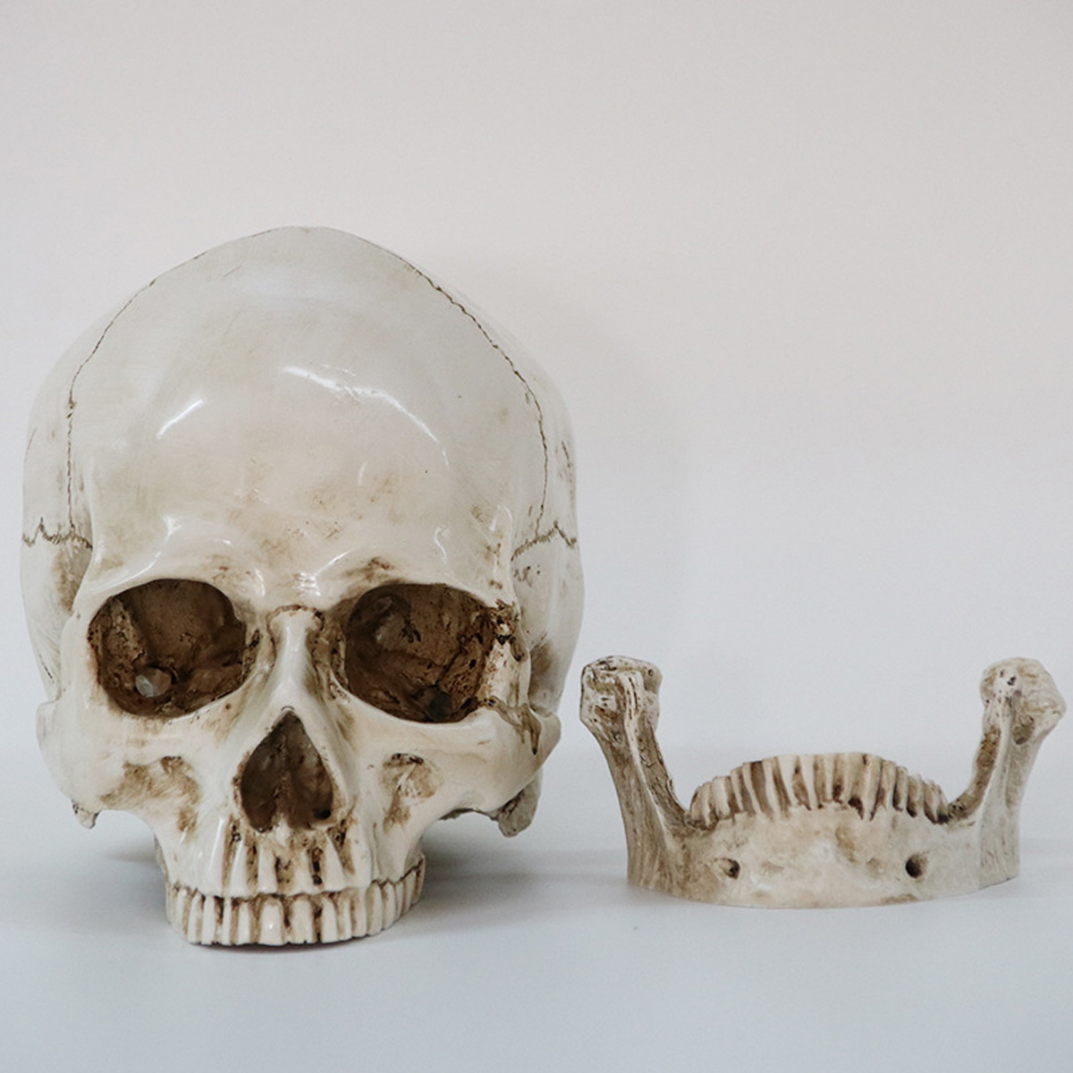 Halloween Skeleton Head Decor Skeleton Model Horror Scary Gothic Skull Prop Ornaments Halloween Atmosphere Decoration