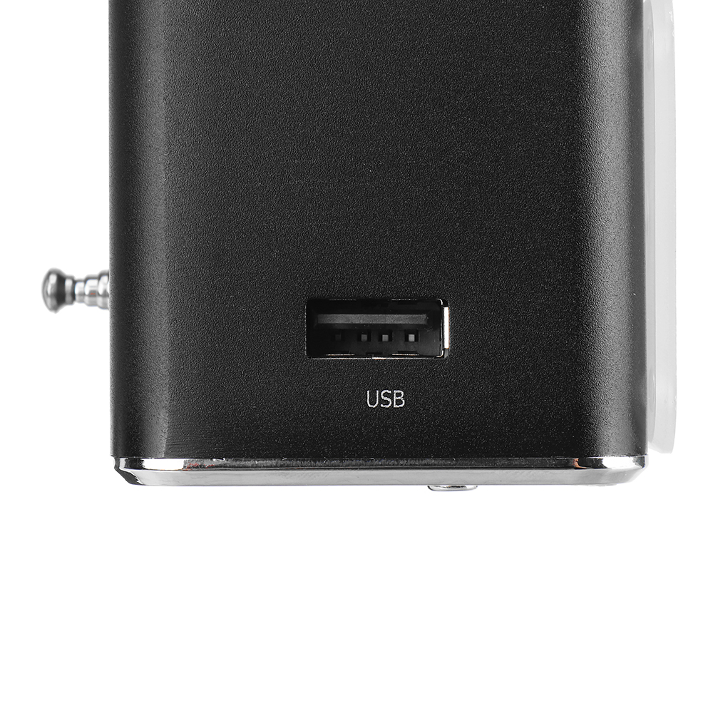 TDV26 Portable Mini FM Radio Speaker MP3 Music Player Support TF Card USB for PC Phone MP3 Laptop