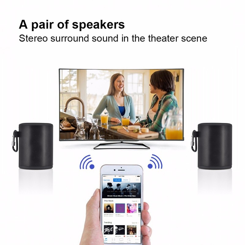 T2 min Outdoor Wireless Bluetooth Speaker Subwoofer Waterproof Speaker with Carabiner (Black)