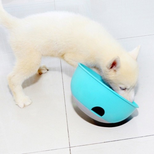 Cat And Dog Choking Prevention Slow Food Single Bowl Bottom Non-slip Puzzle Pet Bowl (Blue)