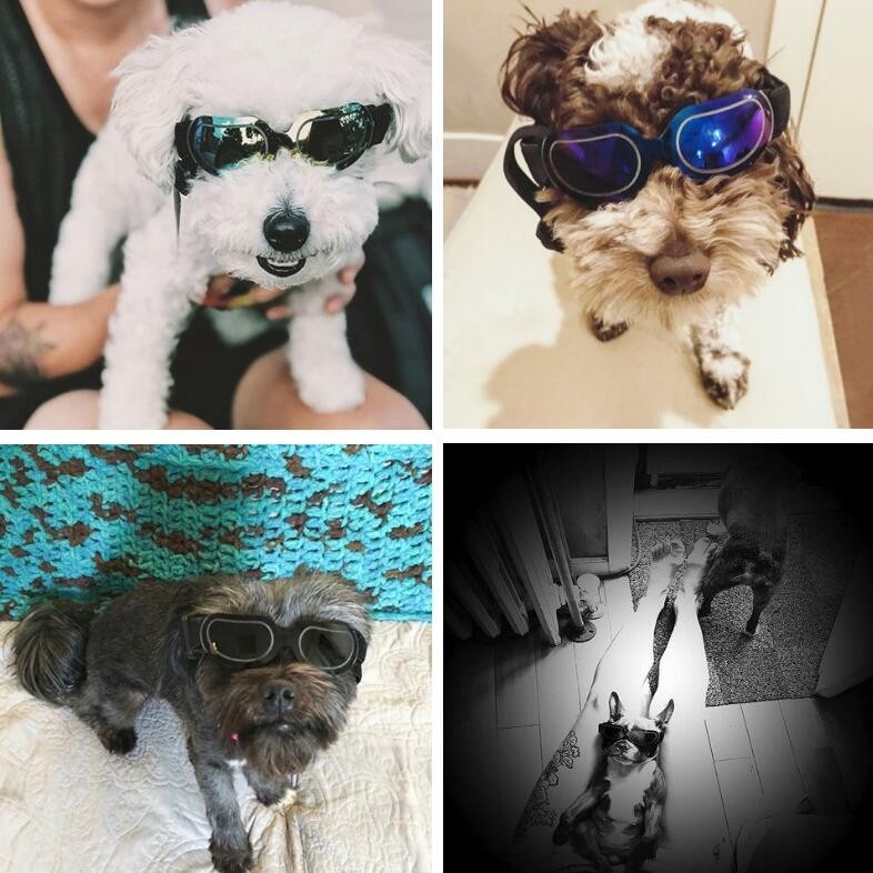 Dog Glasses Sunglasses Pet Glasses (black)